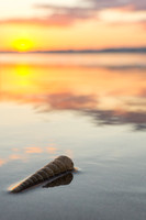 Travel & Fine Art Photography