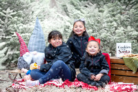 11/11/19 - Khang Family Xmas Tree Mini | Portraits